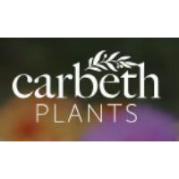 Carbeth Plants Discount Codes and Coupons 2025