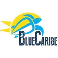 Blue Caribe Tours Discount Codes and Coupons 2025